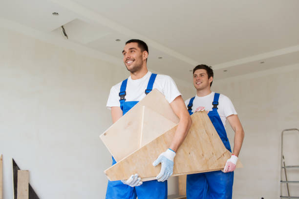 Best Property Management Cleanouts  in Lan, MI